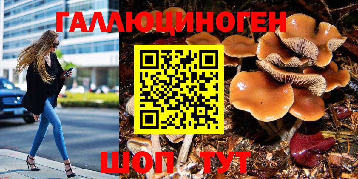 Галлюциногенные грибы Psilocybe Ноябрьск