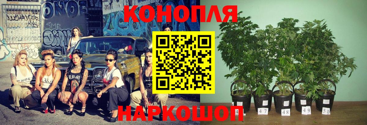Конопля сатива  МАРИХУАНА MAZAR  Канабис марихуана  Вход с VPN  Бошки Шишки тримм  Ноябрьск 
